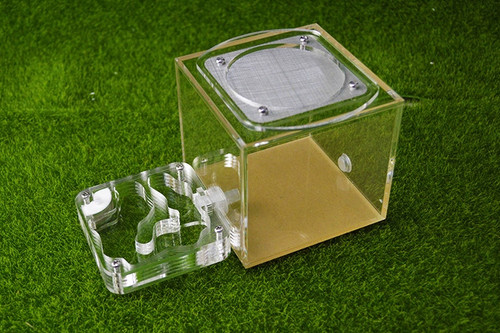 Natural acrylic ant - natural, farm