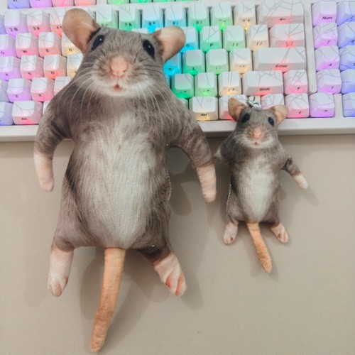 Interactive simulated rat - interactive,
