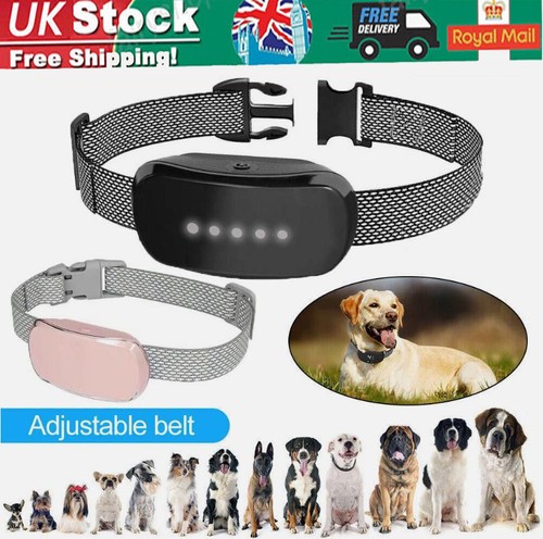 Anti bark electric shock - shock, dog
