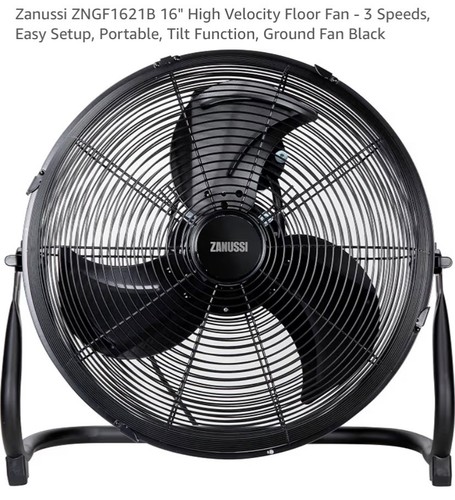fan