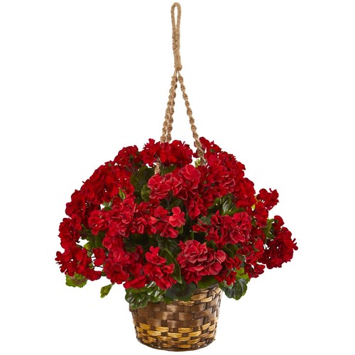 Geranium hanging basket - 19”,