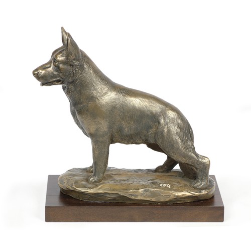 German shepherd dog alsatian - german,