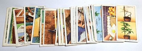 Full set of 50 - of,
