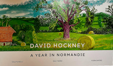David hockney year in - hockney, a