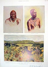 Original Old Antique Print