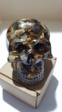 resin skull clear with pebbles