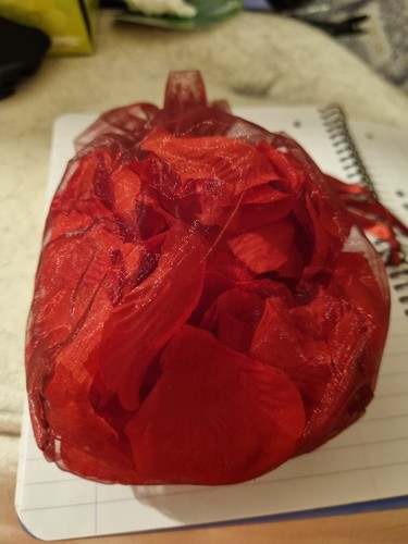 Ann summers rose - summers, petals