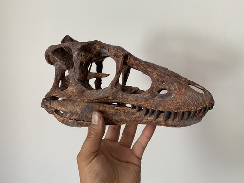 Replica tyrannosaurus rex - replica,