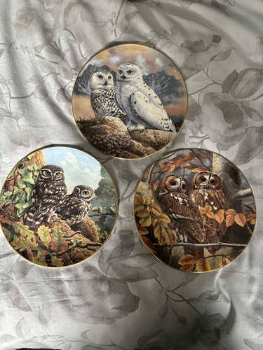 Royal doulton collectors - royal,
