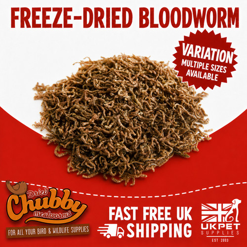 Freeze dried chubby - dried, bloodworm
