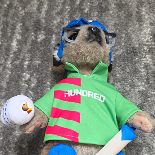 Compare the market sergei - the,
