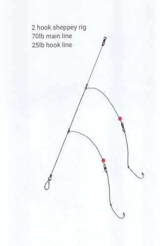 Hook sheppey rig 6 0 - sheppey, 6/0