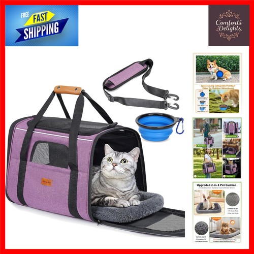 Airline approved pet - approved, carrier