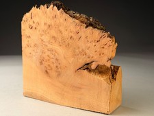 Burr Elm Live Edge Woodturning