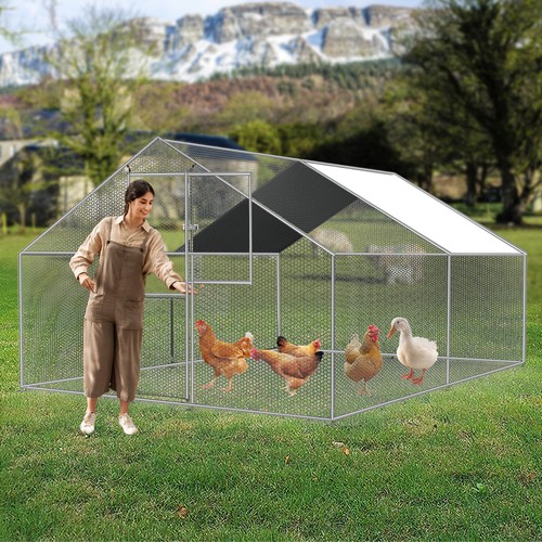 Large metal walk chicken - large, walk-in