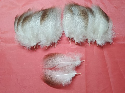 Mallard bronze hackle - mallard,