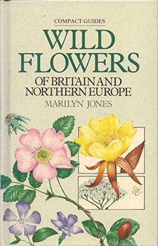 Wild flowers britain - flowers, and