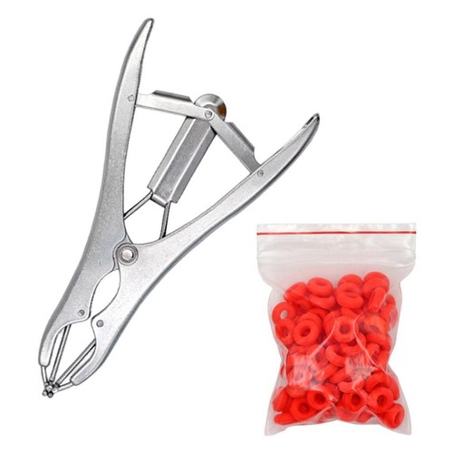 Animal castration pliers - castration, with