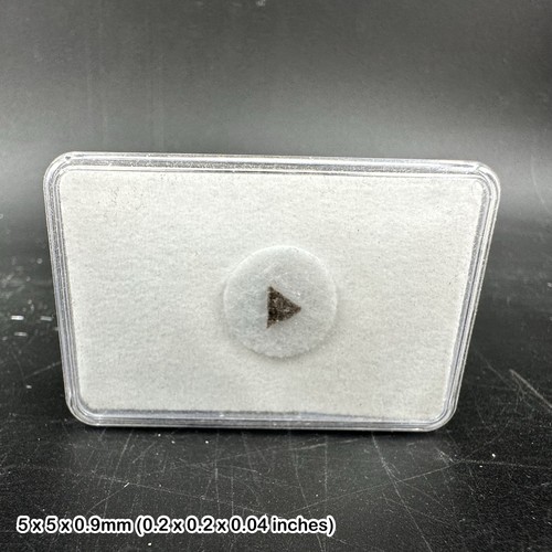 Rare lunar tisserlitine - lunar,