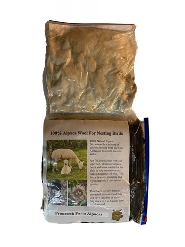 Bird nesting material - bird,