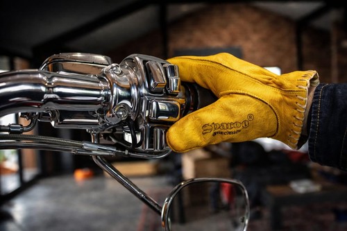 Svarog motorcycle biker - motorcycle, shanks