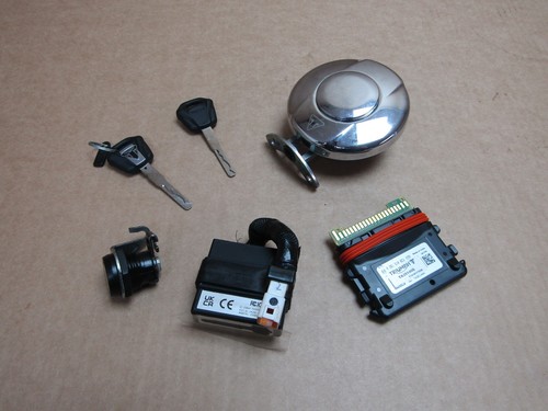 Triumph speed 400 2024 - 2024, ecu
