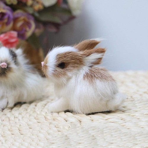 Mini simulation rabbits - simulation,