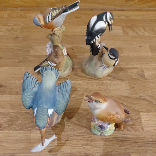 Royal worcester birds - 4,