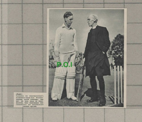 C778 david steward - david,