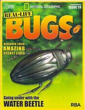real-life bugs & insects-19-WATER BEETLE.   BUGS NOT INCLUDED.