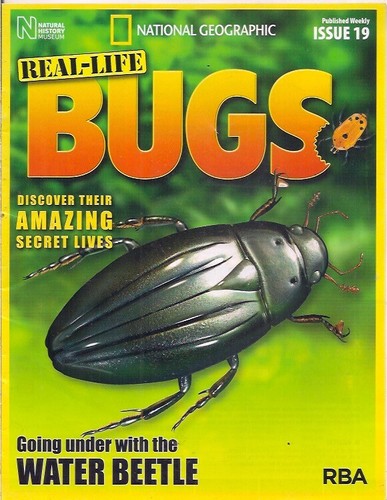 Real life bugs - real-life, &