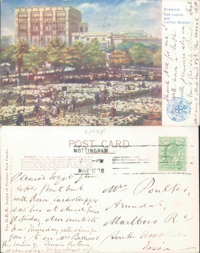 Norwich castle and cattle - norwich,