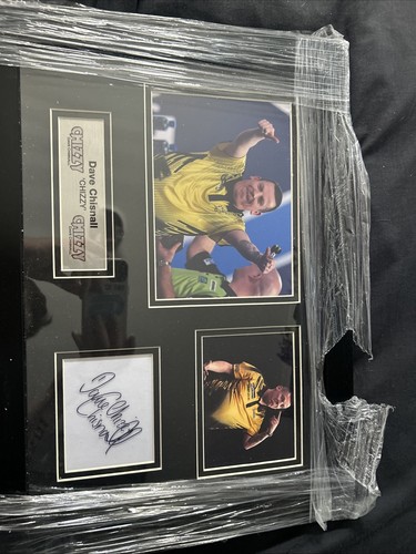 Pdc darts signed frame - signed, montage
