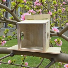 Squirrel Feeder Station House