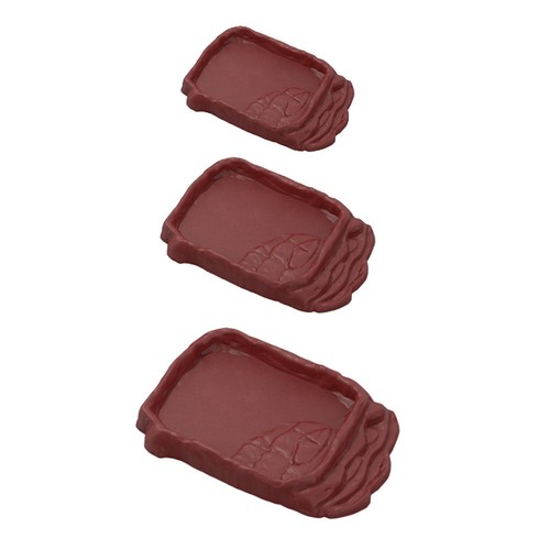 Reptile feeding dish water - feeding,