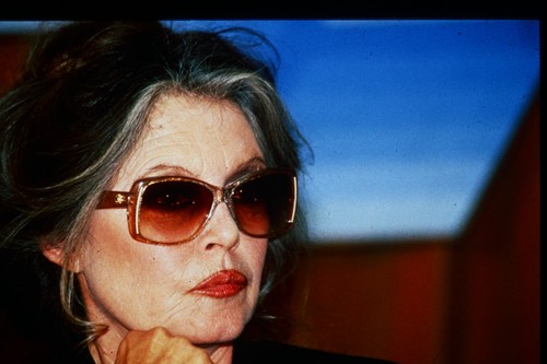 Brigitte bardot photo - brigitte,