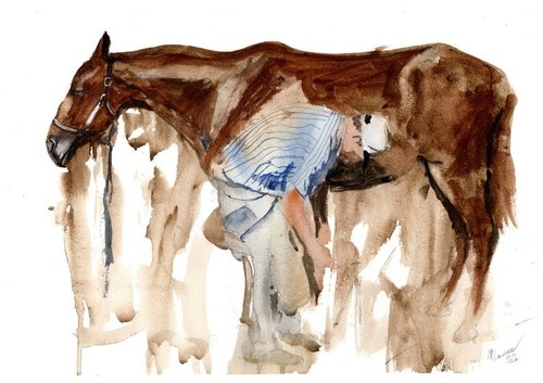 Horse farrier painting - horse, limited