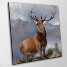 The monarch glen - the,