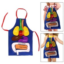 3D Organ Apron Educational Toy