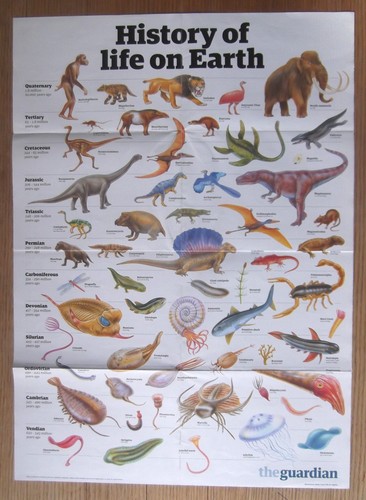 The guardian wallchart wall - guardian,