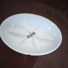 Portmeirion botanic garden