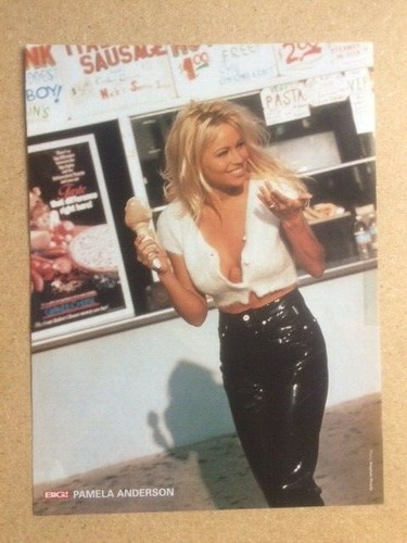 Pamela anderson scrapbook - pamela,
