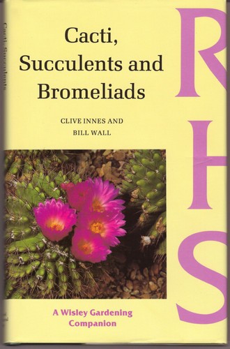 Cacti succulents and - succulents,