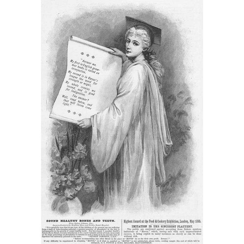 Hovis bread scholar - scholar, with