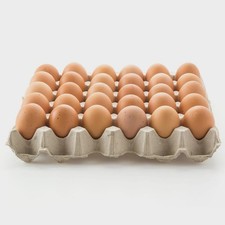 EGG TRAYS x 140  CARTONS CARDBOARD PACKAGING LARGE PACK SIZES CHICKEN DUCK HEN 