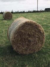 Hay Bales