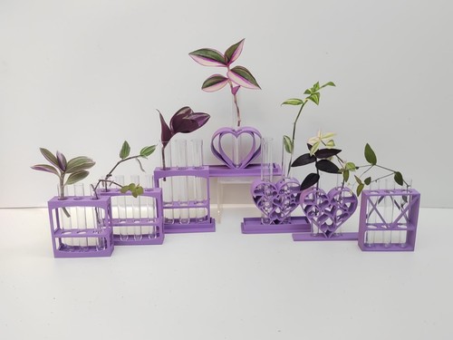 Lilac plant propagation - lilac,