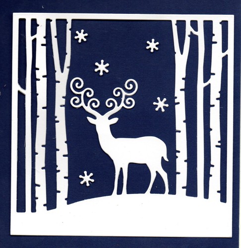 New large deer in woods - 6,