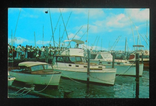 1950s visitors viewing - 1950s, the