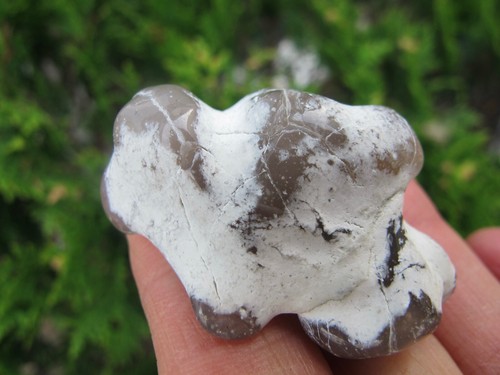 Snakeskin agate healing - snakeskin,